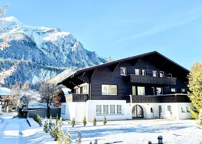 Cute & Cozy Oasis, Private Afternoon Sun Terrace * Kandersteg